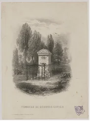 Grabmal von Georges Cuvier